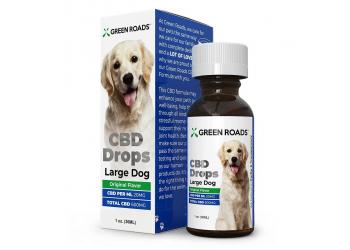 Pet CBD Drops 600mg for Large Dog