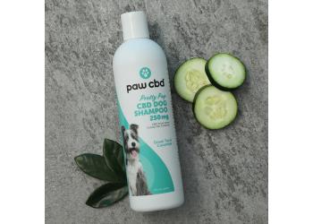 CBD SHAMPOO FOR DOGS