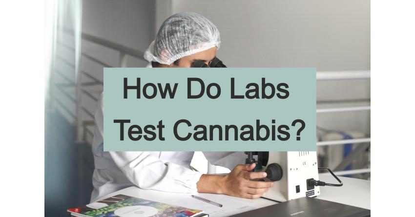 How Do Labs Test Cannabis?  